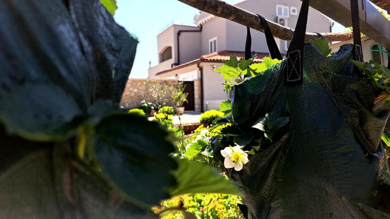 Dubrovnik Airport Apartment Tea Durovici Bagian luar foto